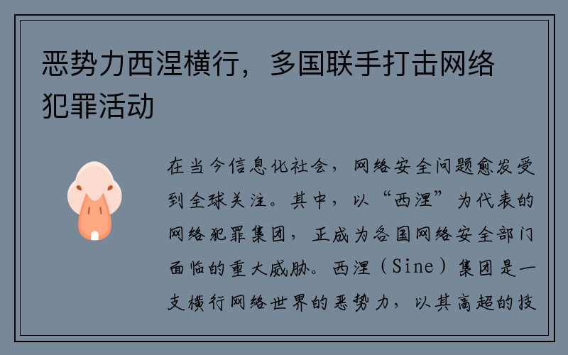 恶势力西涅横行，多国联手打击网络犯罪活动